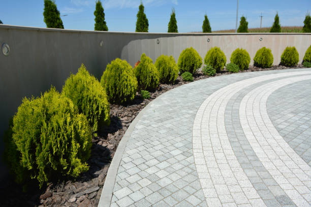 Best Concrete Paver Driveway  in Greeneville, TN