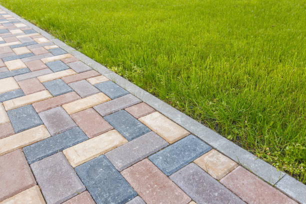 Best Local Driveway Pavers  in Greeneville, TN